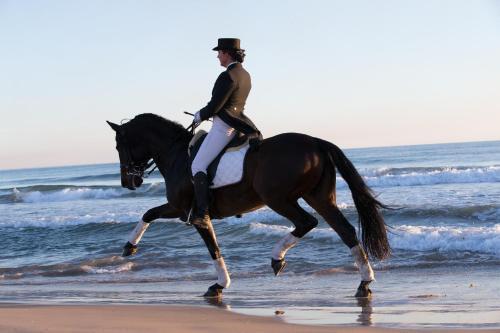 Pension Los Caballos Els Poblets Bagian luar foto